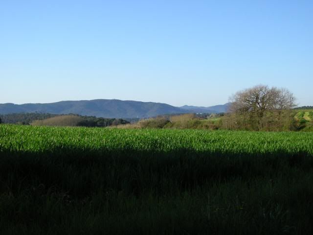 photo 245_03.jpg