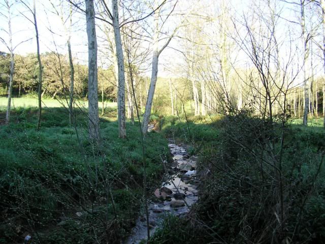 photo 245_04RieradeGiola.jpg