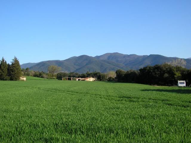 photo 245_08ElSuidesdeCanPungol.jpg