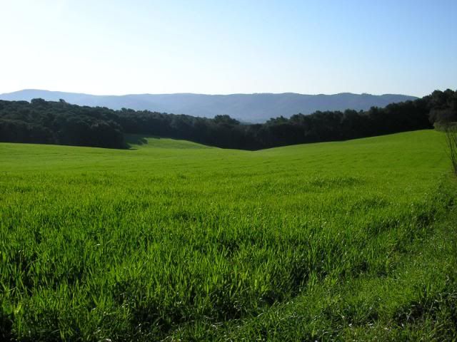 photo 245_15SolelladenCames.jpg