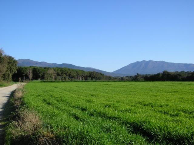 photo 245_18MontsenydesdelPladelesVinyes.jpg