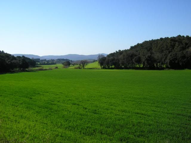 photo 245_26TorrentdeCanCarbonell.jpg