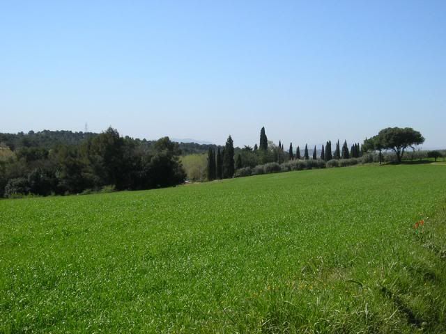 photo 245_42SerradeCanguilla.jpg