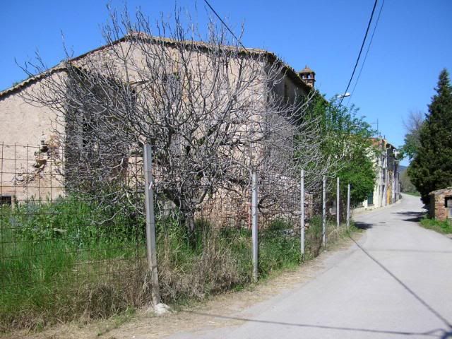 photo 245_55Llerona.jpg