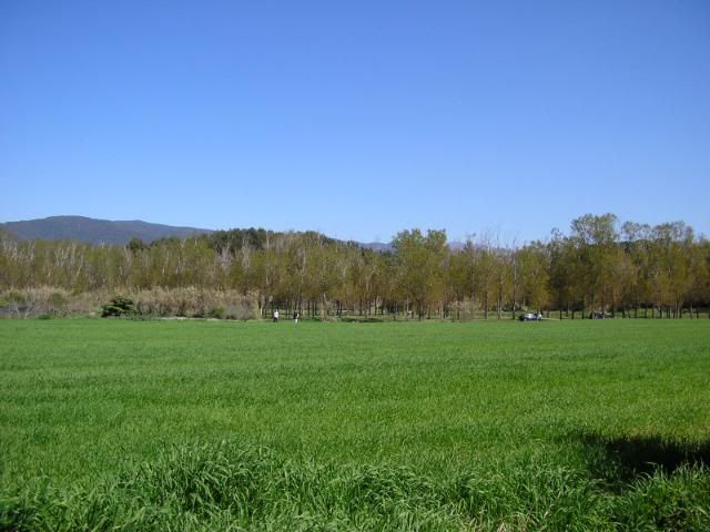 photo 245_56.jpg
