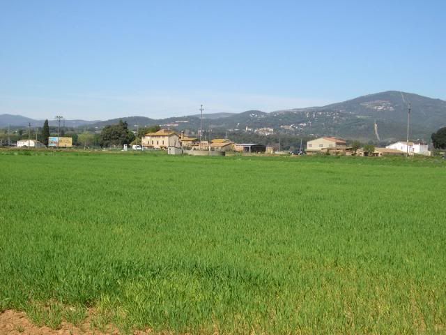 photo 245_57Llerona.jpg