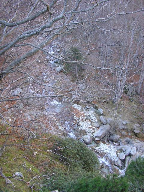 photo 169_25ElTecFageda.jpg