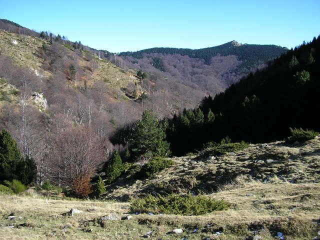 photo 169_27FagedadelUllat.jpg