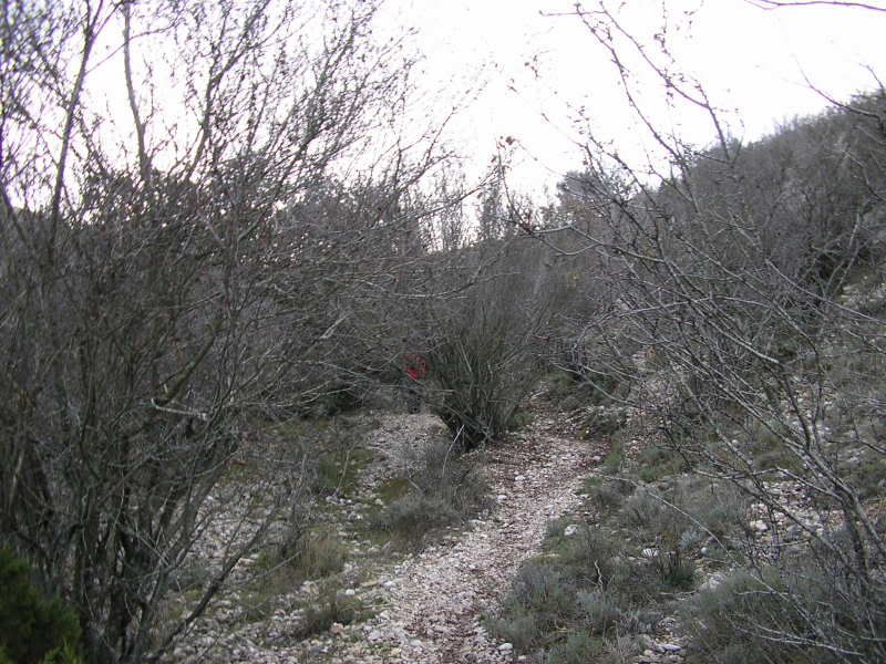 photo 170_105ComellardelObacdelsFrares.jpg