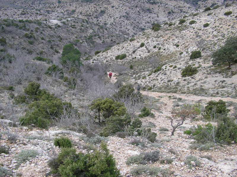 photo 170_98ComellardelObacdelsFrares.jpg