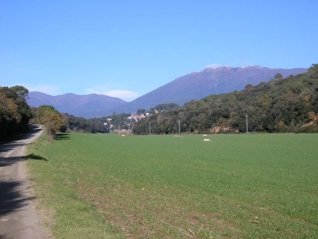 photo 172_32CanRamiMontsenydesdeCanDiviu.jpg