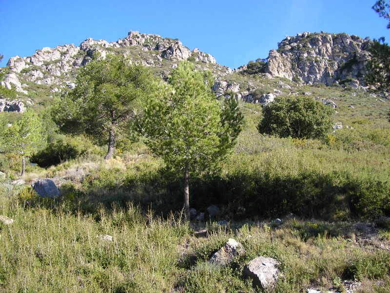 photo 150_01CastelldeMontmelldesdeColletd.jpg