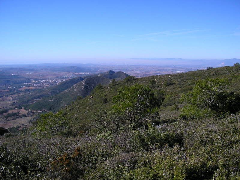 photo 150_24PuigdelesForquesCampdeTarrado.jpg