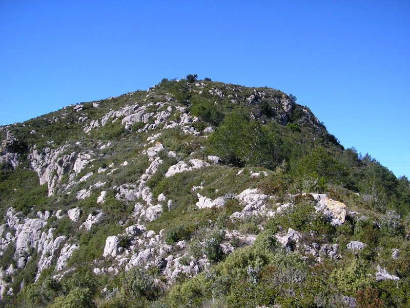 photo 150_39TalaiadeMontmell.jpg
