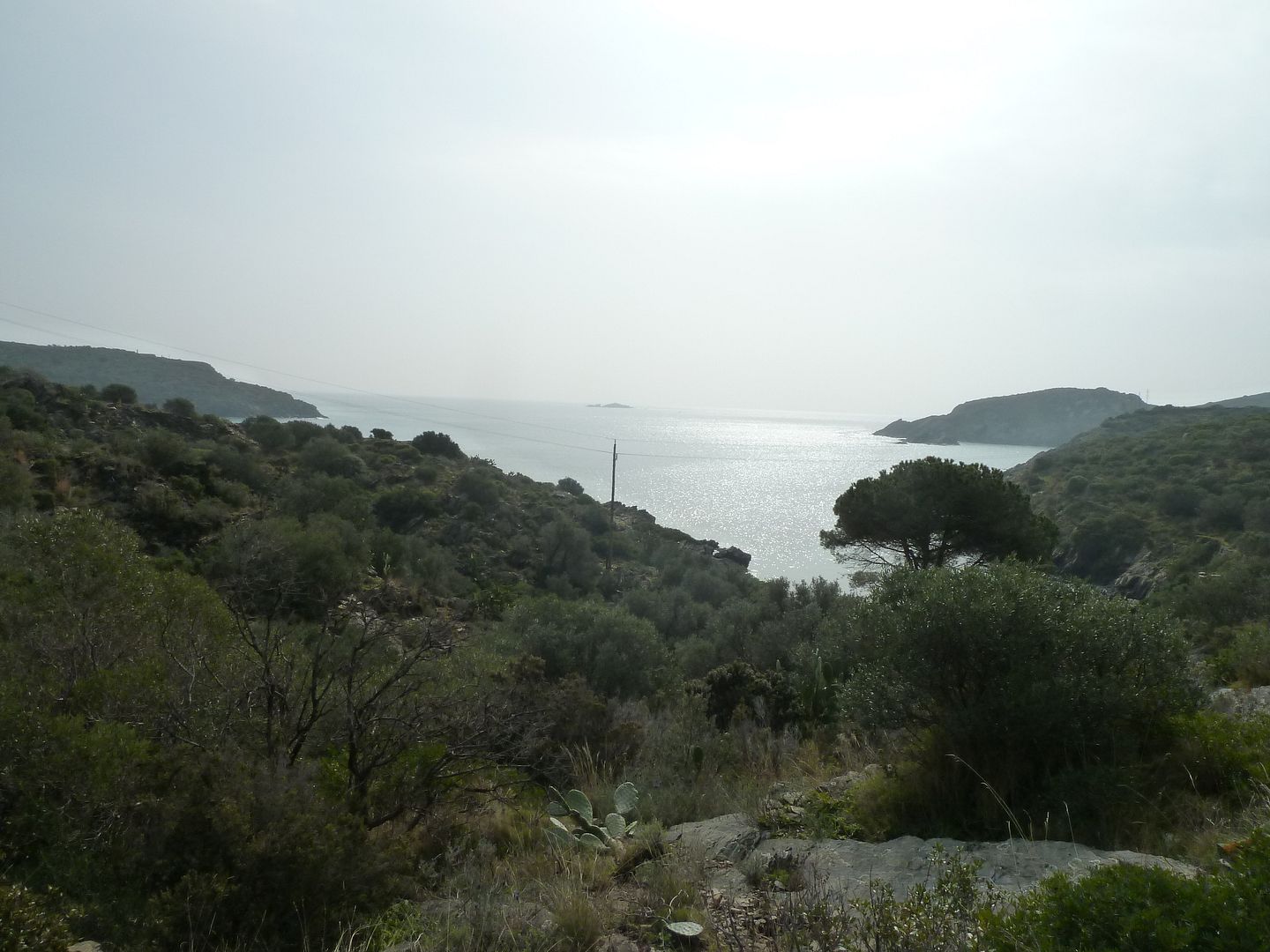 photo 2013-03-03-08BadiadeGuillolaCapdenroig.jpg