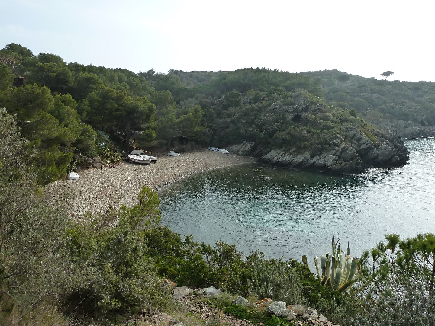 photo 2013-03-03-11PlatjadeGuillola.jpg
