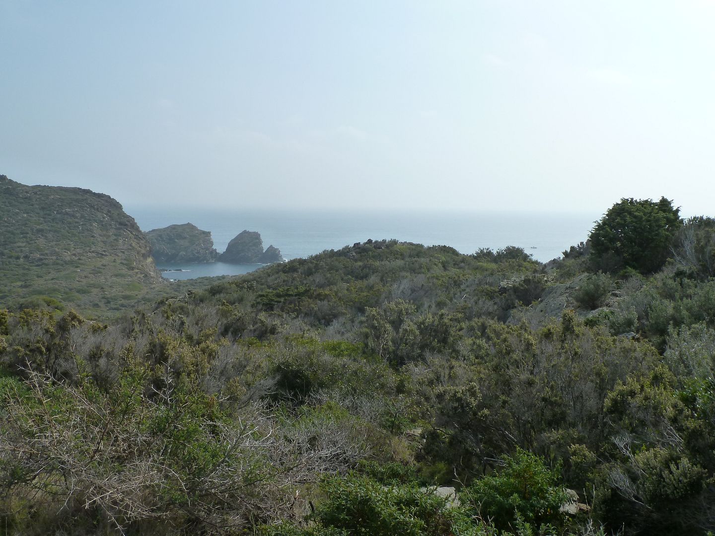 photo 2013-03-03-21MorrodeCalabona.jpg