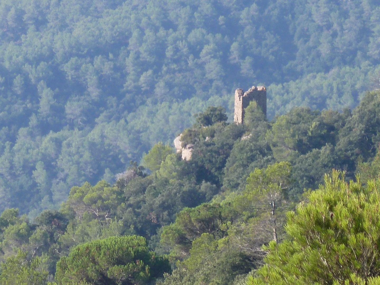 photo P1080505TorretadelObac.jpg