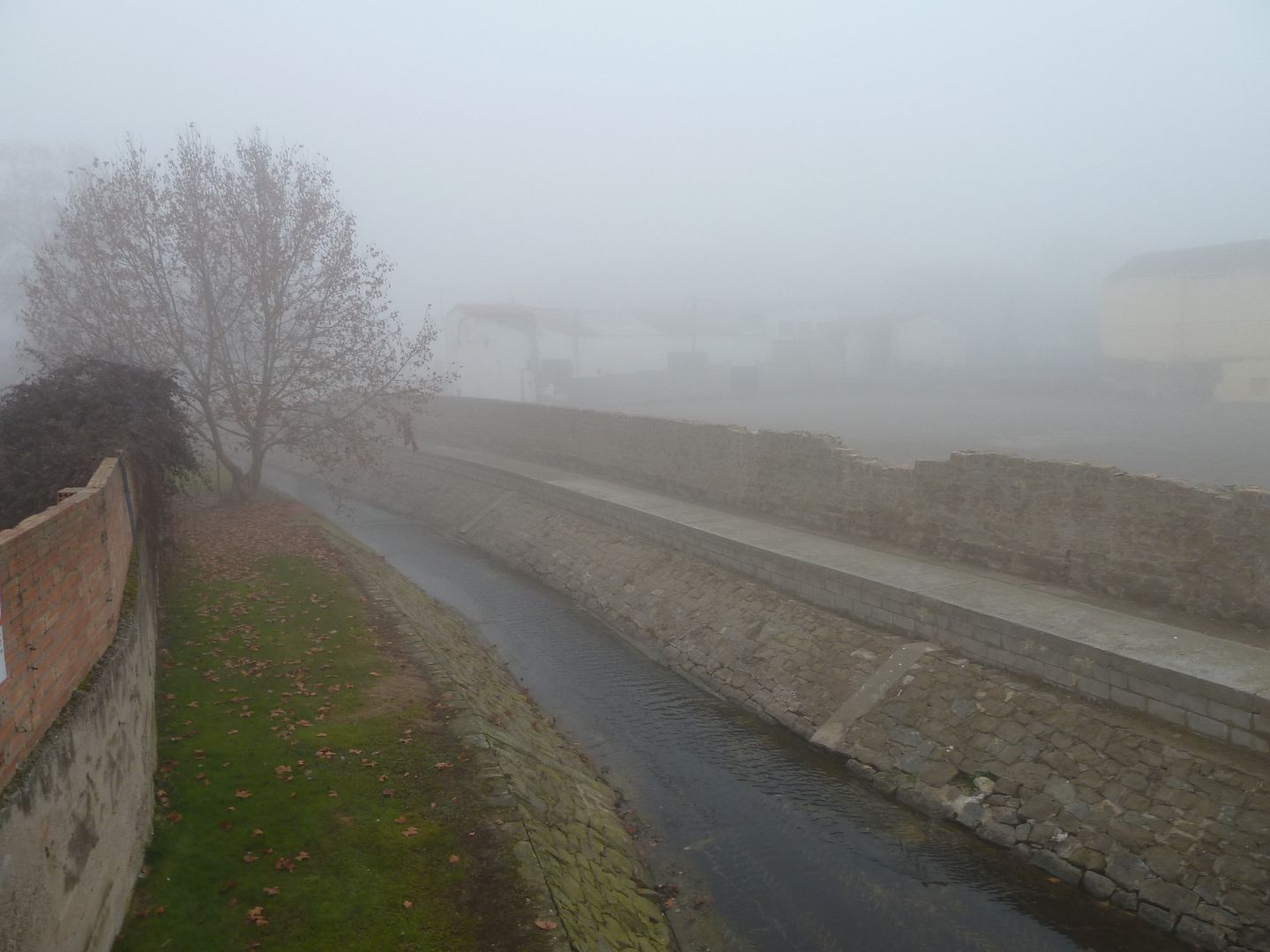 photo P1110144RiuSioacute.jpg