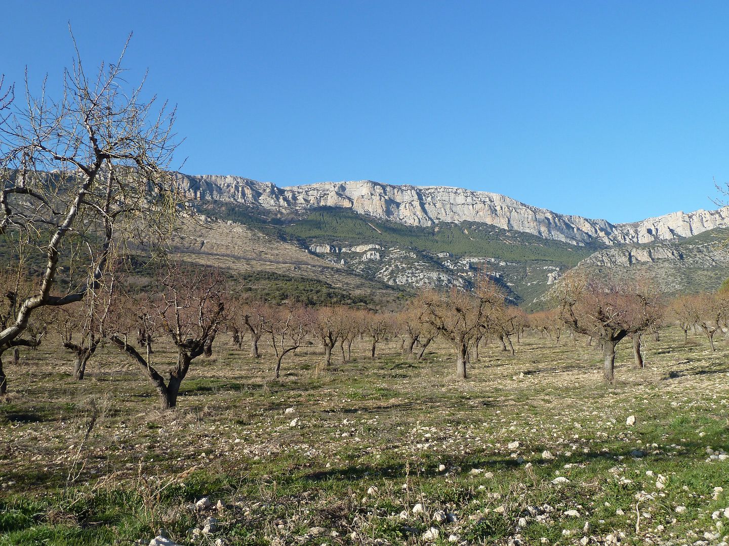 photo P1110689MontsecdAres.jpg