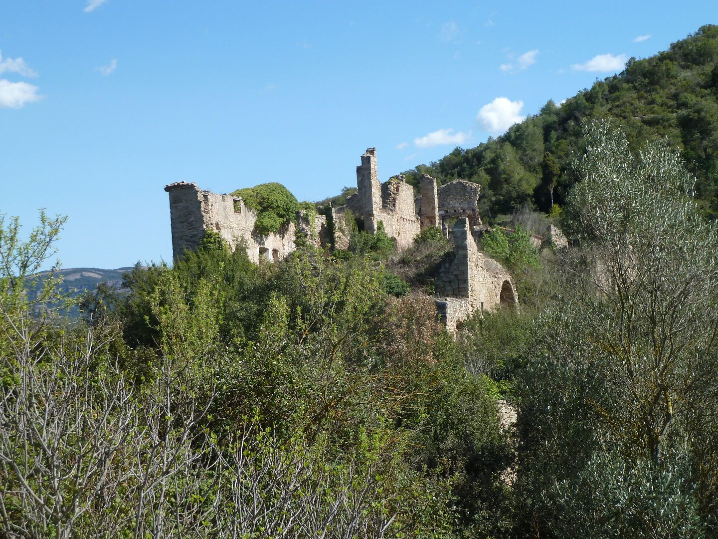 photo P1120235SantJaumedeVallhonesta.jpg