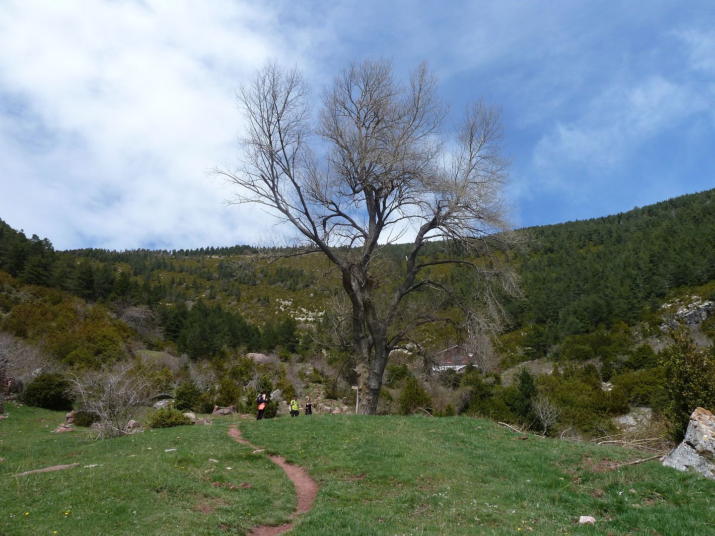 photo P1120915FontdelFaigrefugiSantJordi.jpg