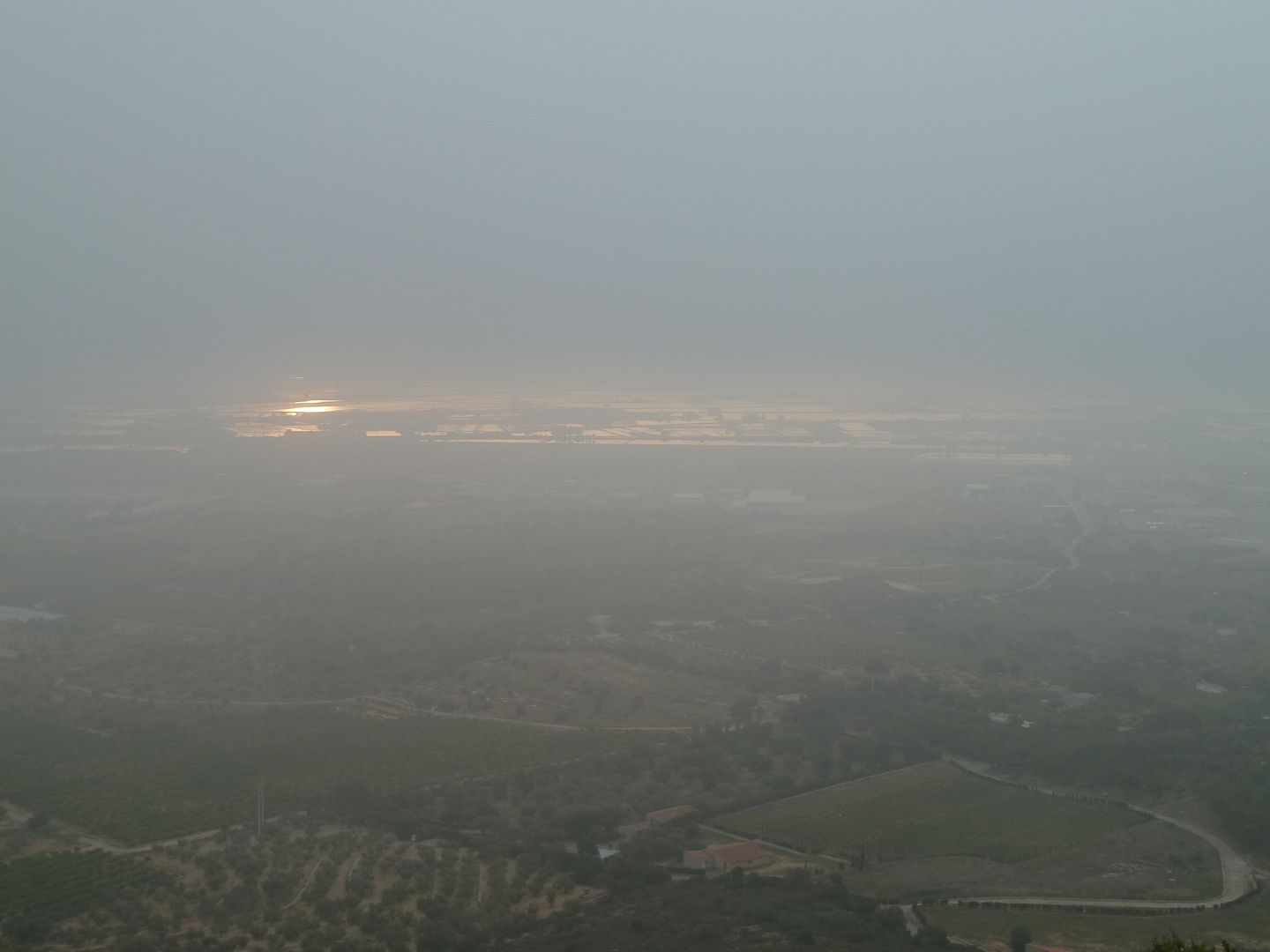 photo P1130256DeltadelEbre.jpg