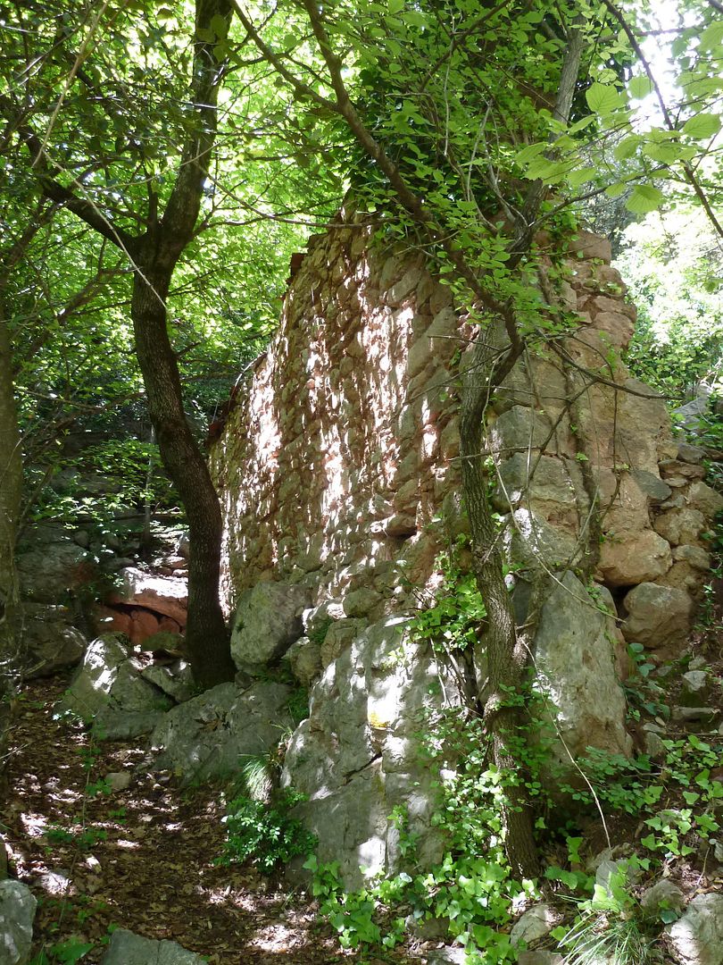 photo P1130529CastelldeRocabruna.jpg