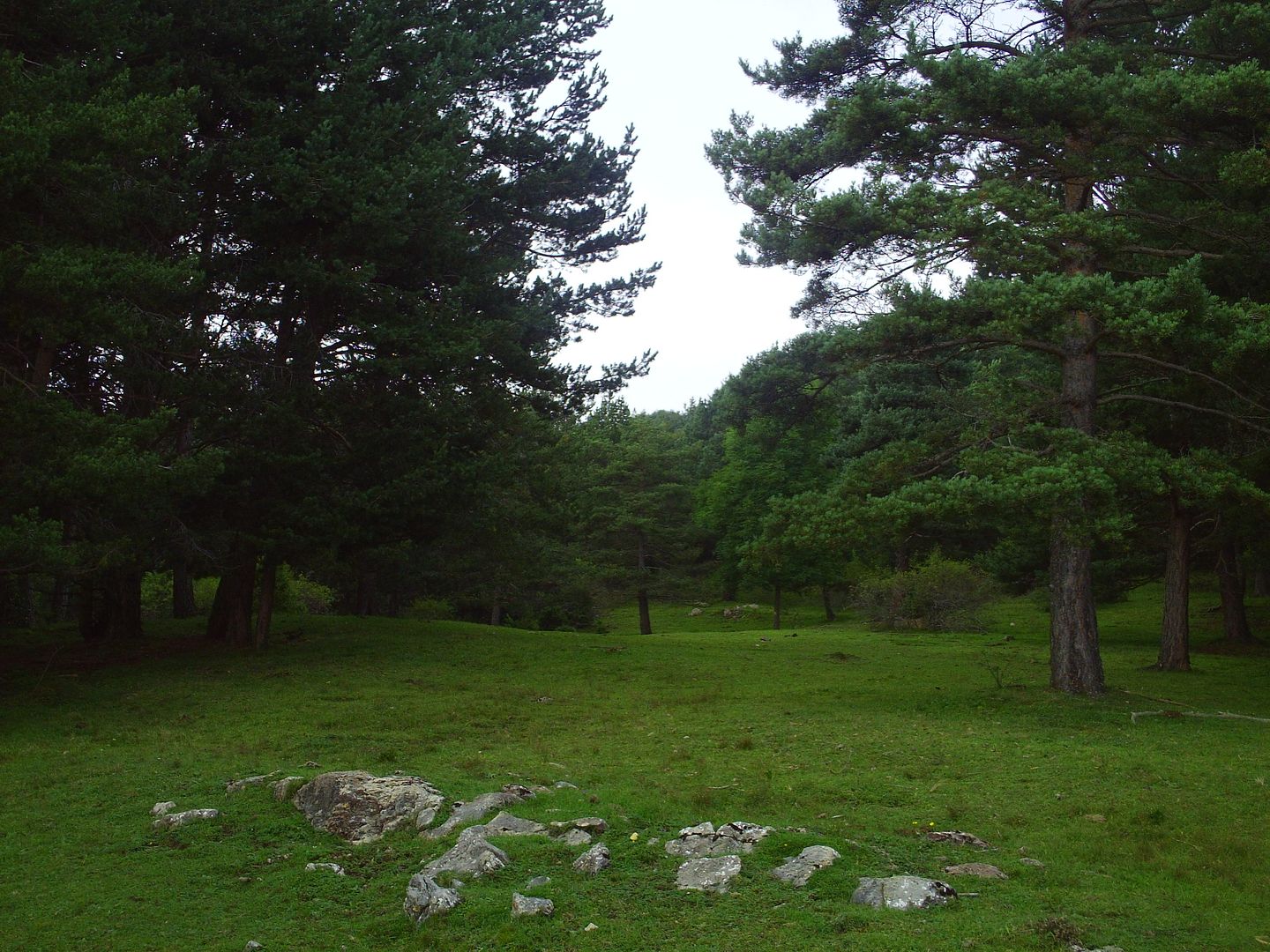 photo PICT0064.jpg