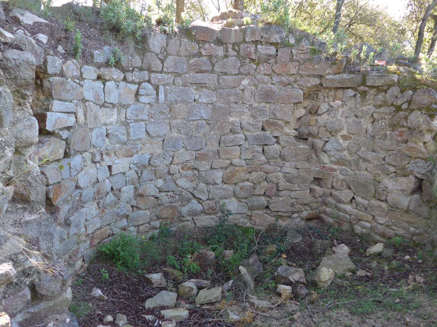 photo P1020836CastelldeSantMiquel.jpg