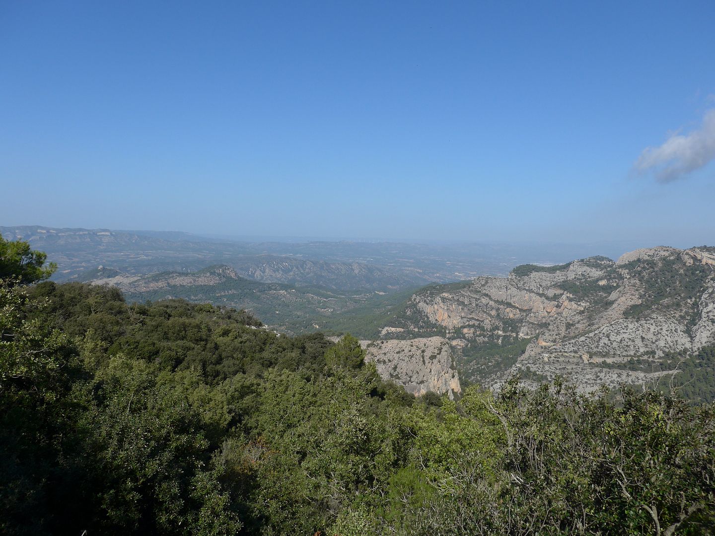 photo P1030026 Les Picossies Serra de Pagravendols.jpg
