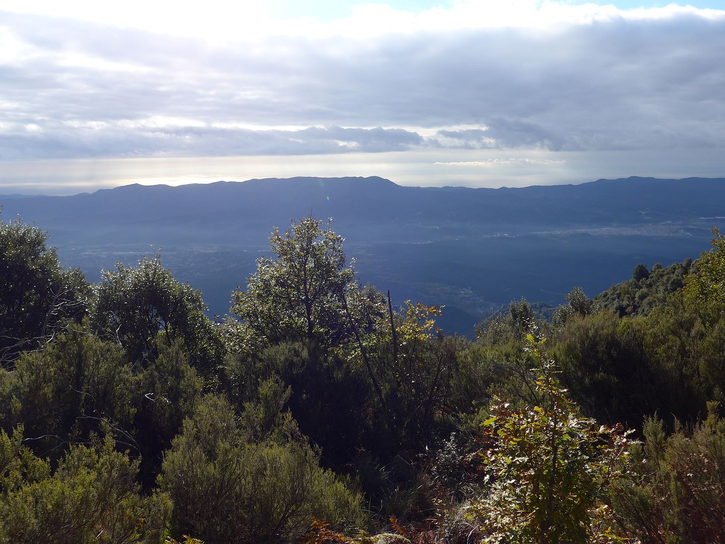 photo P1030175 Sant Celoni i Montnegre des de lEsquei del Llamp.jpg