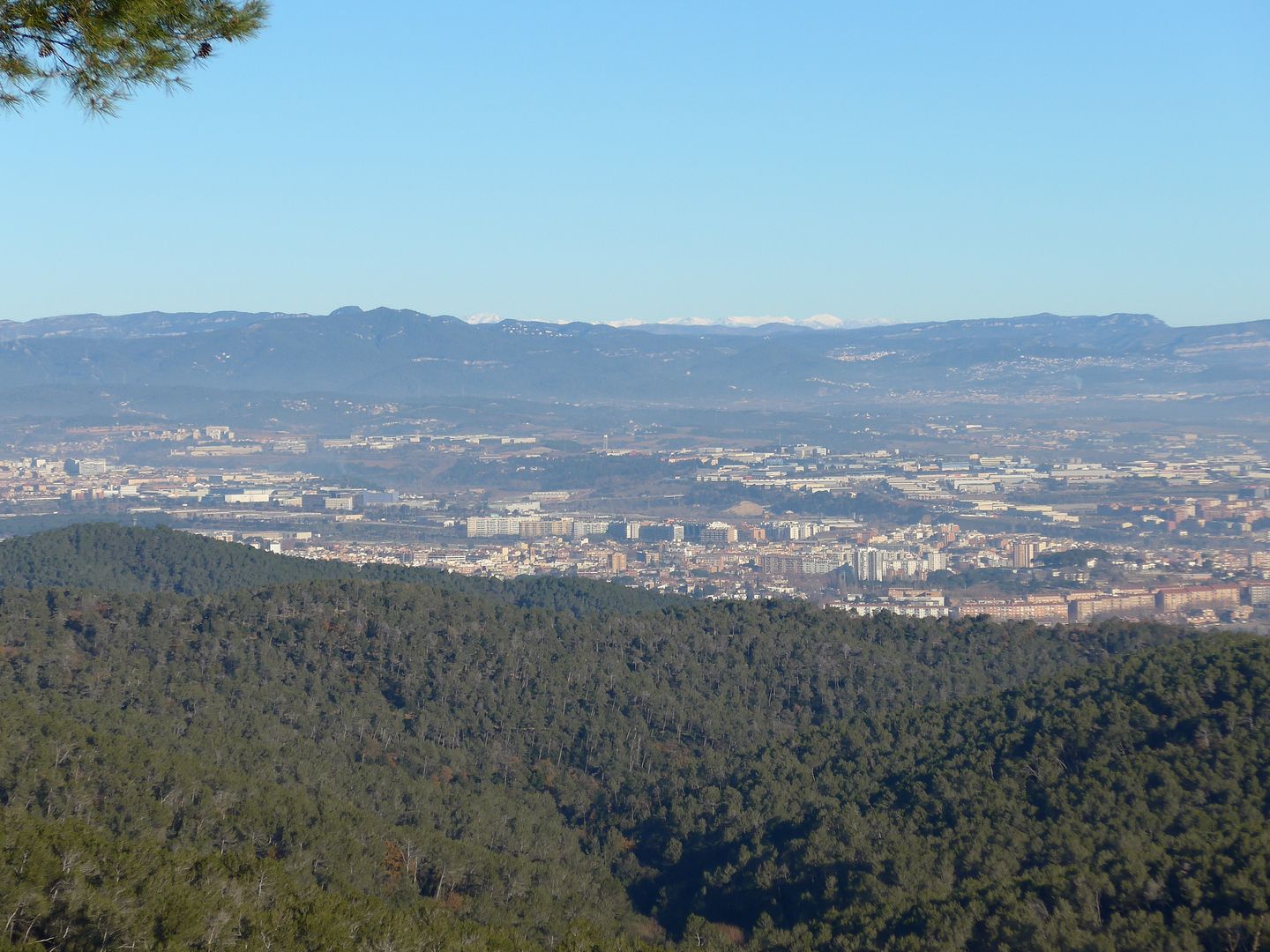 photo P1040125 El Vallegraves i el Pirineu des del Portell de Valldaura.jpg