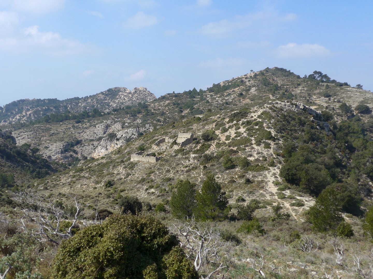 photo P1050218 Corral de Benito la Tossa.jpg