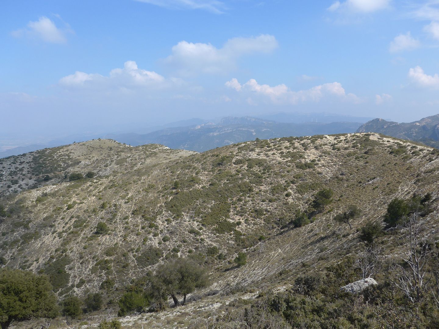 photo P1050227 Punta de lAgraveliga Montalt.jpg