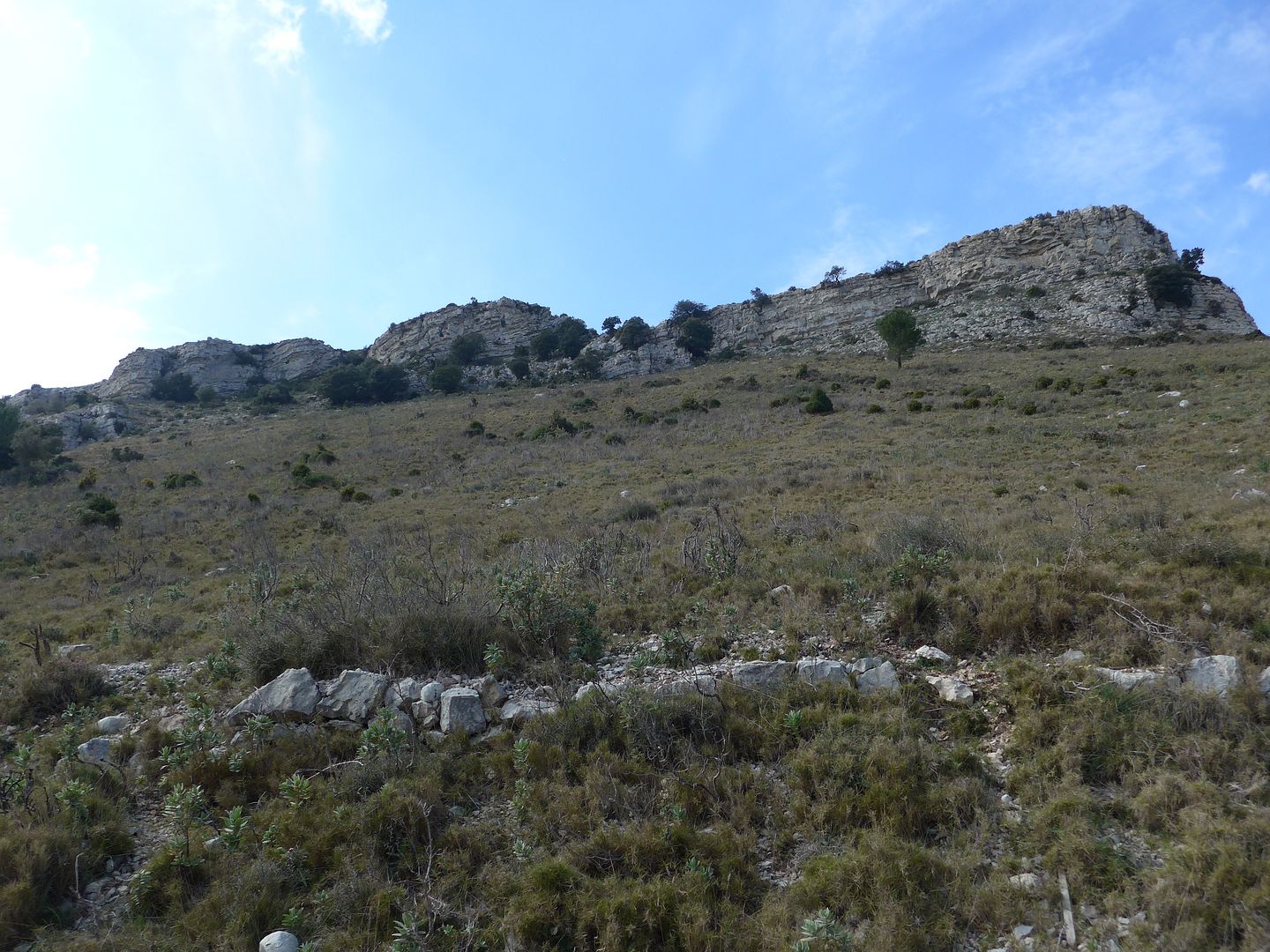 photo P1050242 Punta de lAgraveliga des del Coll de Monetze.jpg