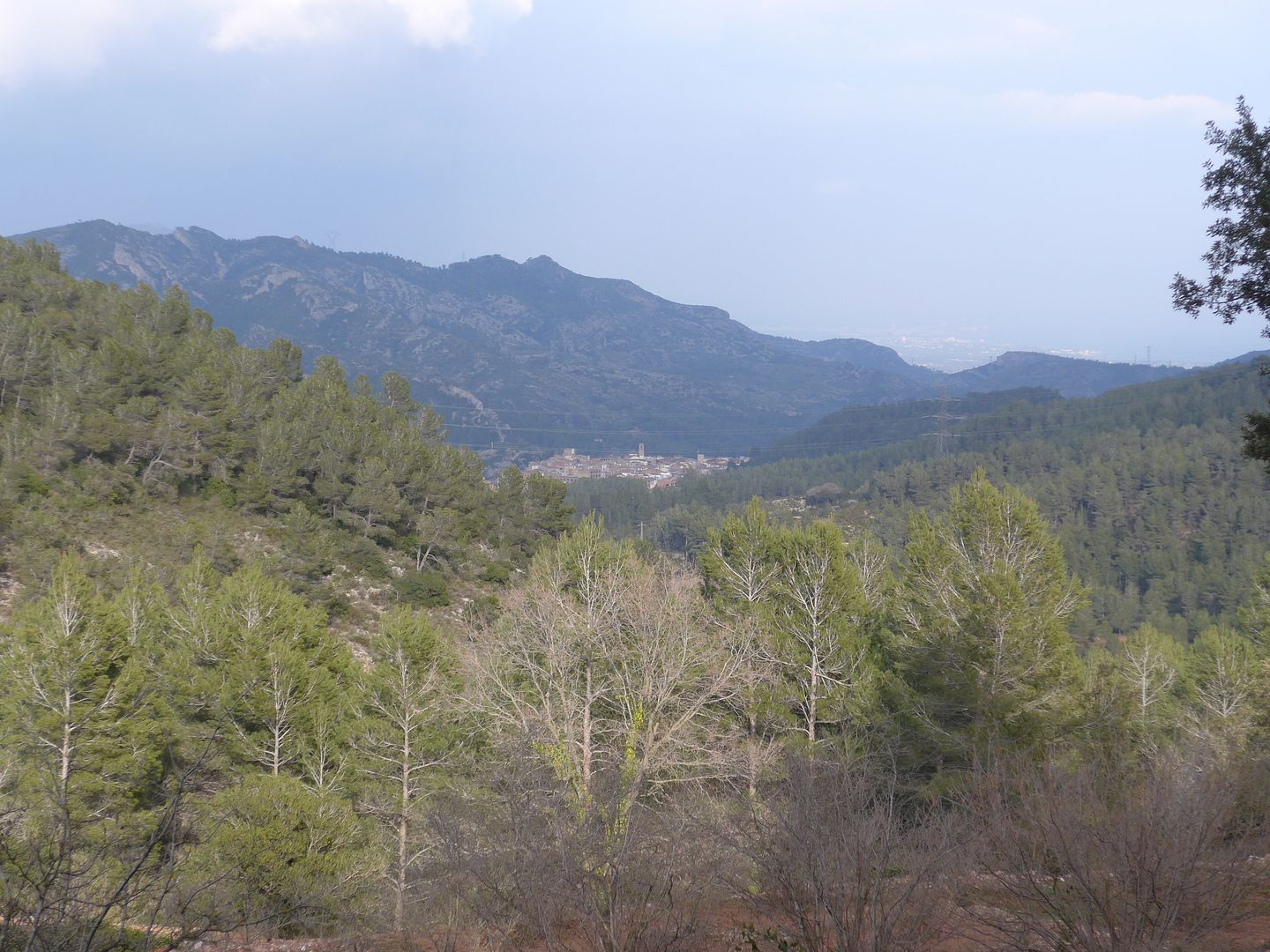 photo P1050311 Vandellograves Serra de Santa Marina.jpg