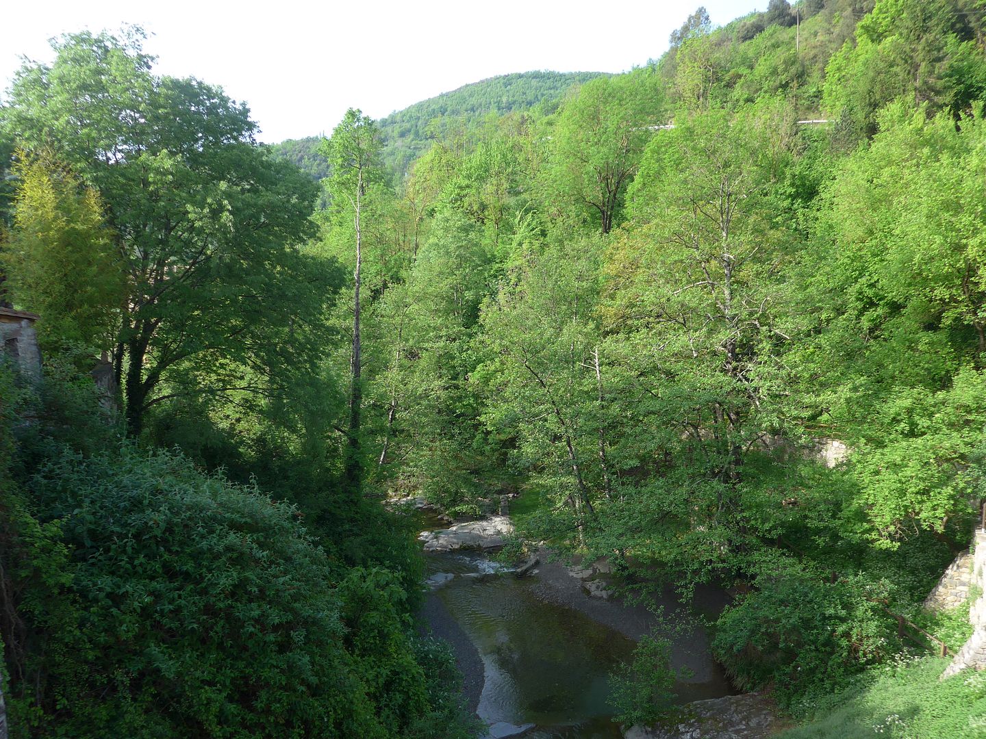 photo P1060222 Riera de Beget.jpg