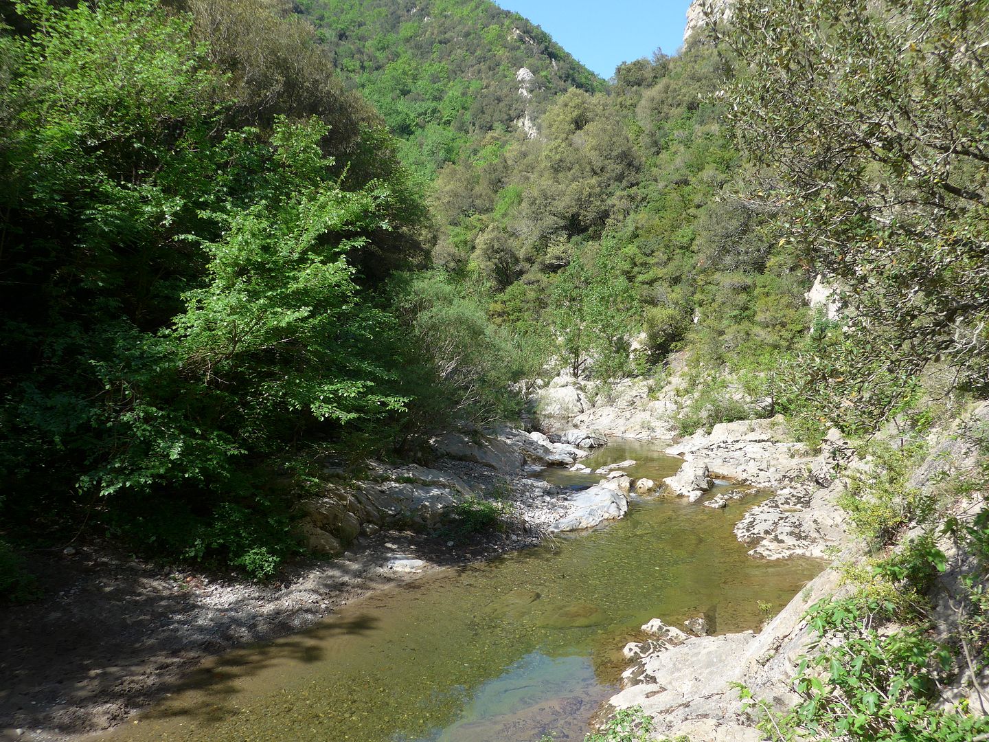 photo P1060243 Riera de Beget.jpg