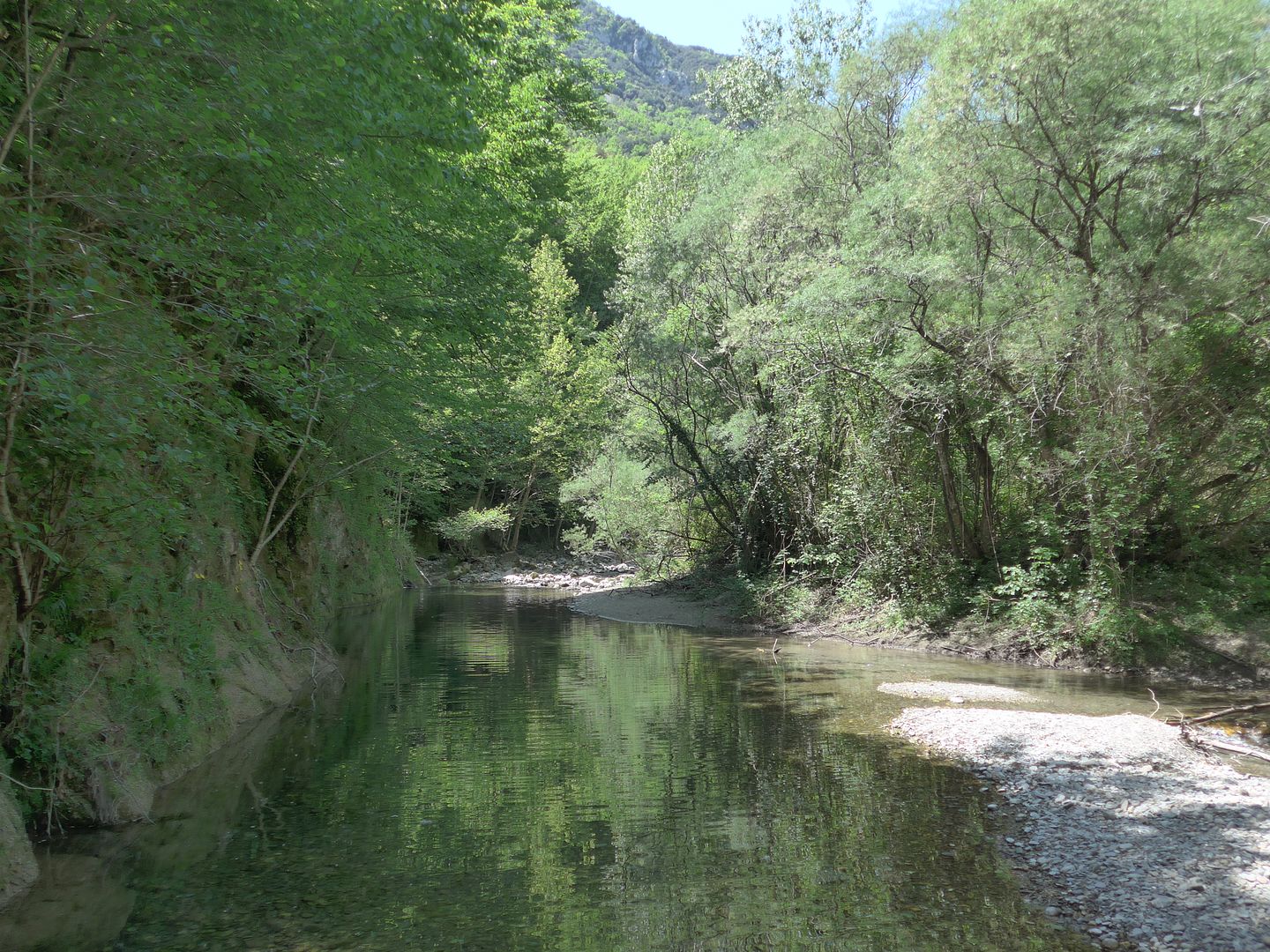 photo P1060269 Riera de Beget.jpg