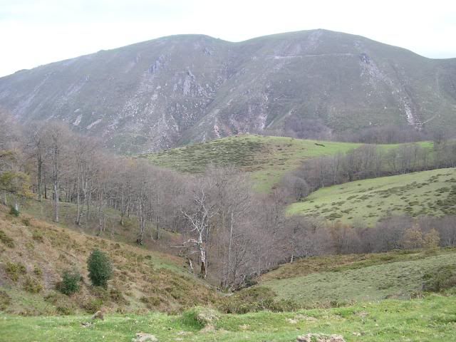 photo 00911Lindus1.jpg