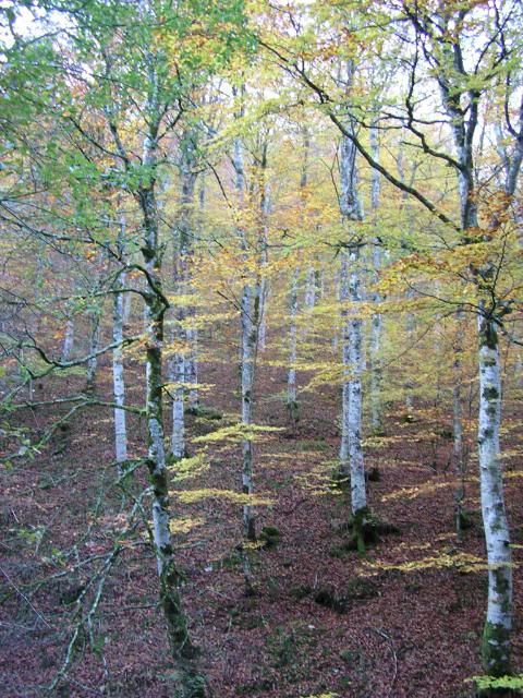 photo 00926.jpg