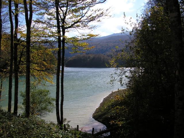 photo 00865Irati3.jpg
