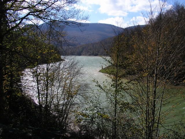 photo 00872Irati5.jpg