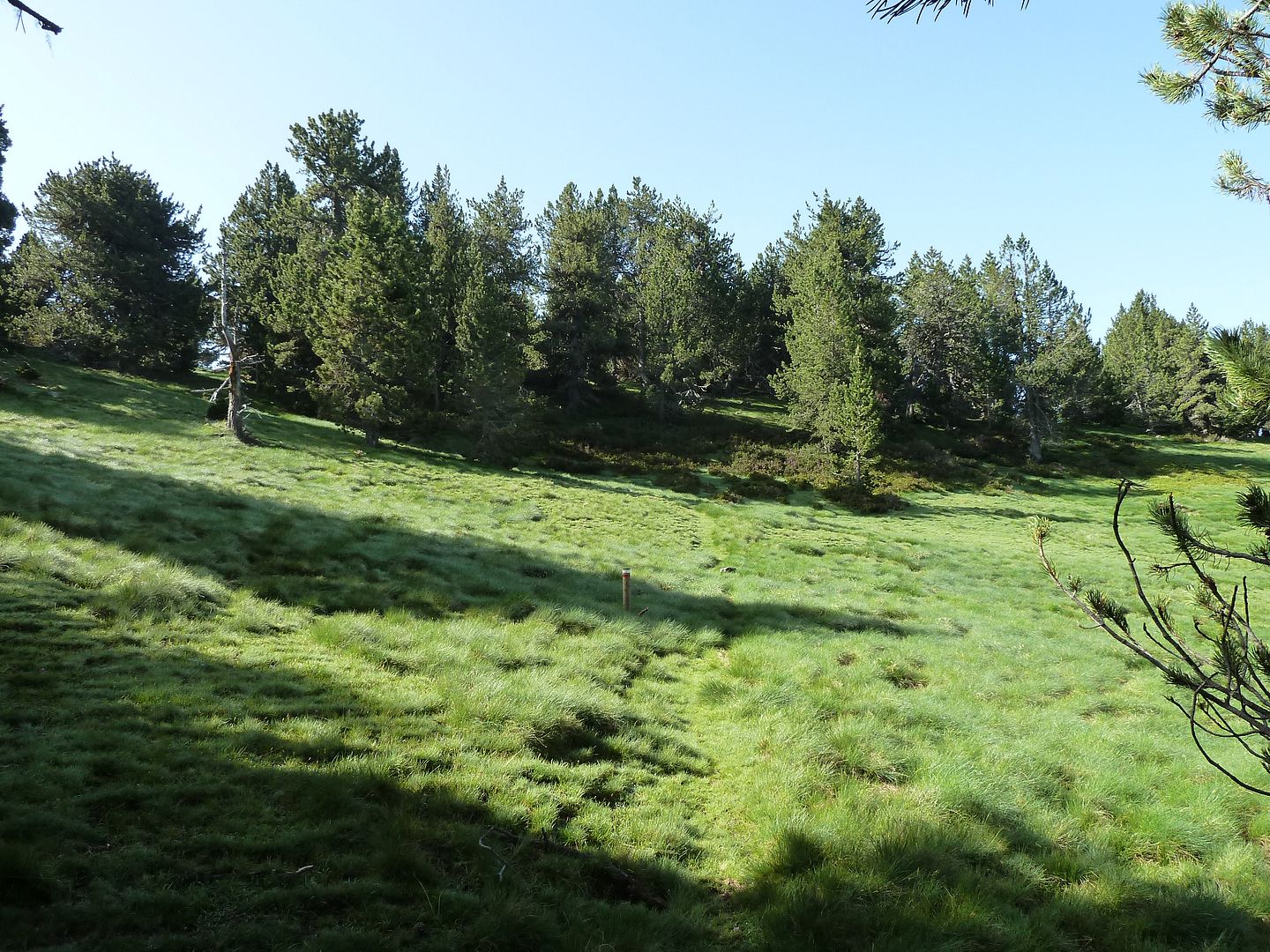 photo P1130763PlanelldelsCots.jpg