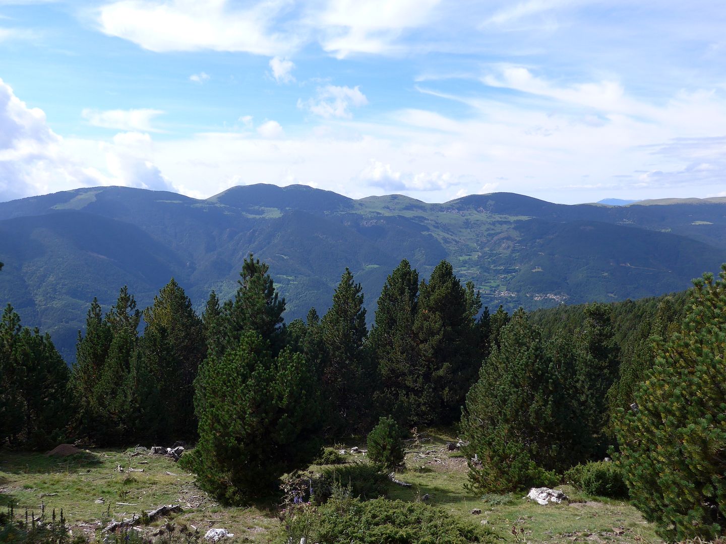 photo P1020306 Serra de Montgrony des del Coll de les Barraques.jpg