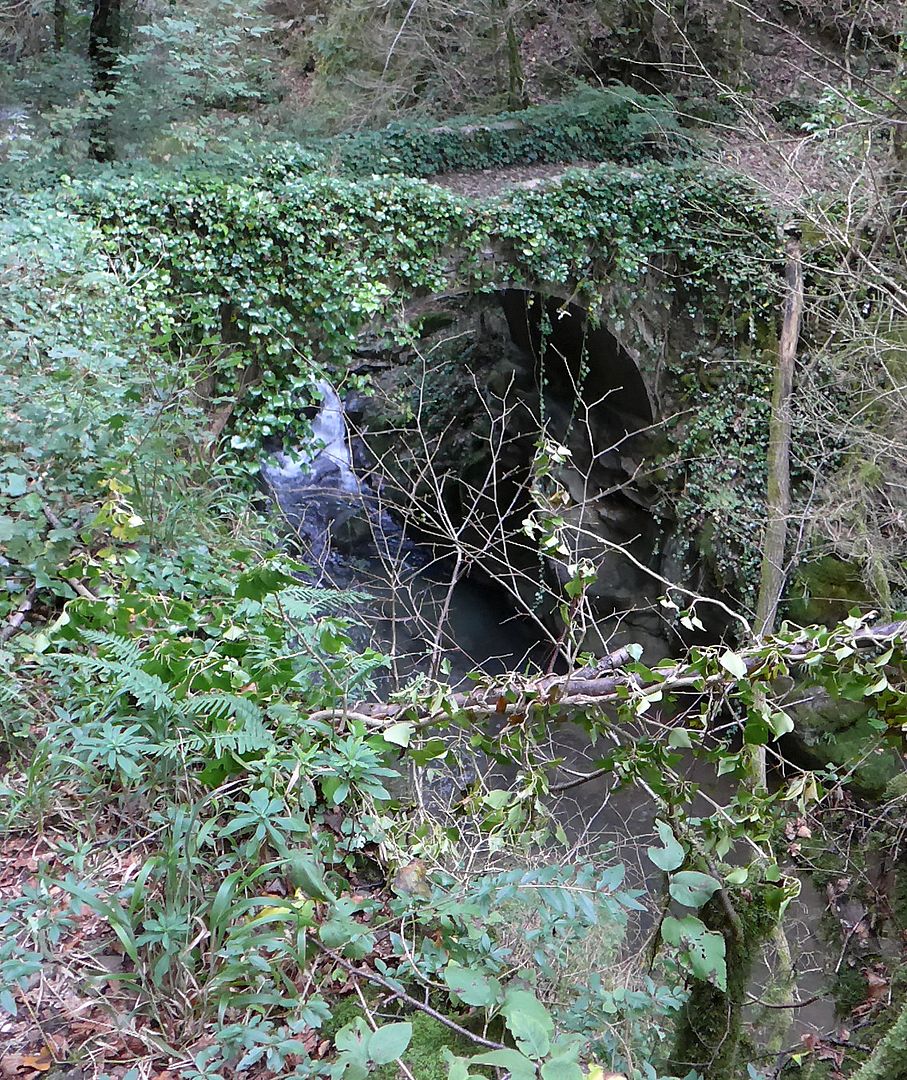 photo P1020618 Riera de Beget.jpg