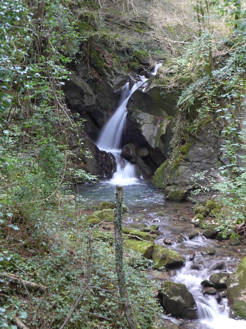 photo P1020620 Riera de Beget.jpg