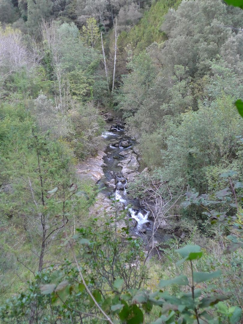 photo P1020629 Riera de Beget.jpg