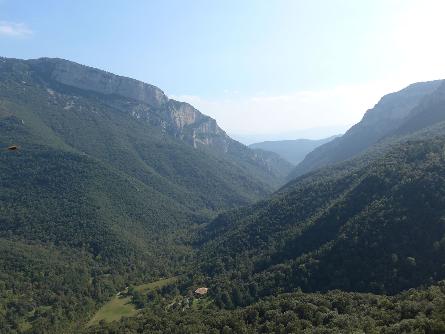 photo P1020704 Vall de Sadernes.jpg